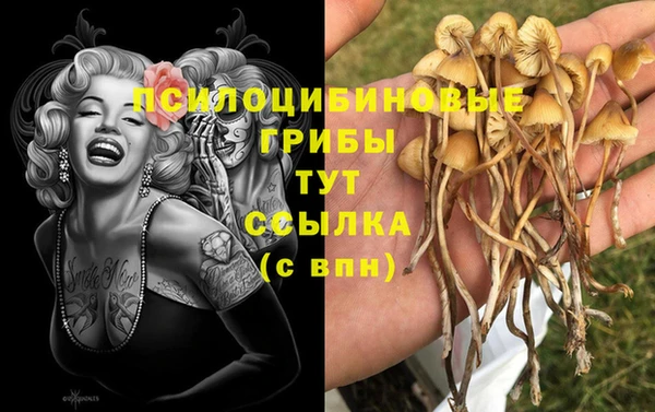 прущая мука Лагань