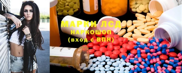крисы Пенза